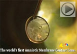 AMCL