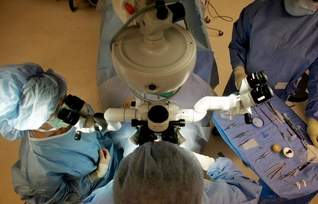 Dr Ming Wang, corneal transplantation